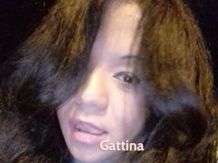 Gattina