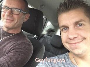 Gayfunguys