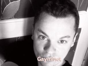 Gayminet