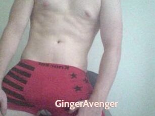 GingerAvenger