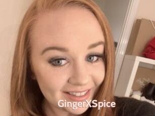 GingerXSpice