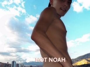 HOT_NOAH