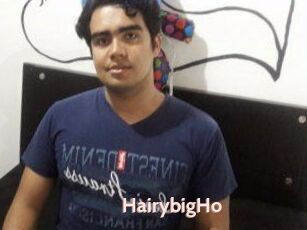 HairybigHo