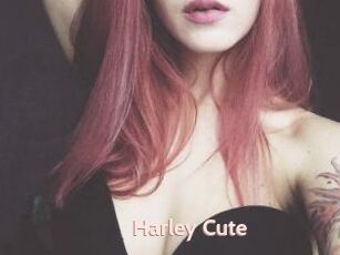 Harley_Cute