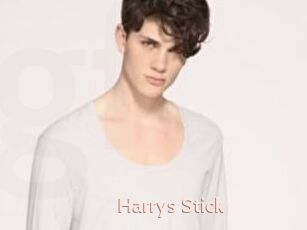 Harrys_Stick