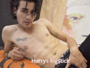 Harrys_bigstick