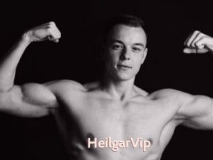 HeilgarVip