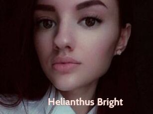 Helianthus_Bright