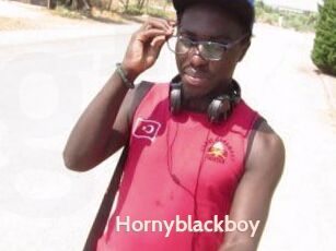 Hornyblackboy