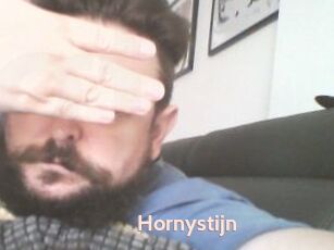 Hornystijn