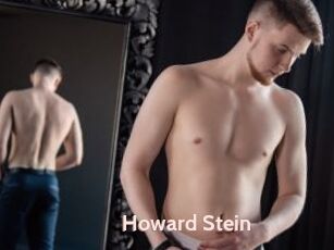 Howard_Stein