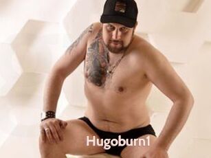 Hugoburn1