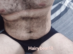 Hairybear18