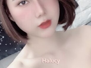 Halucy