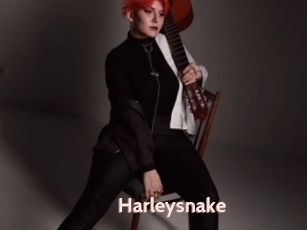 Harleysnake