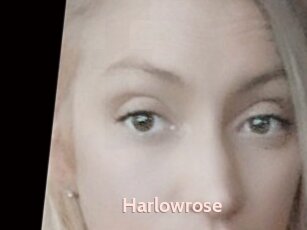 Harlowrose