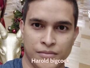 Harold_bigcock