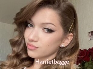 Harrietbagge