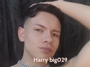 Harry_big029