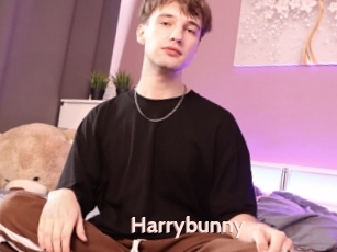 Harrybunny