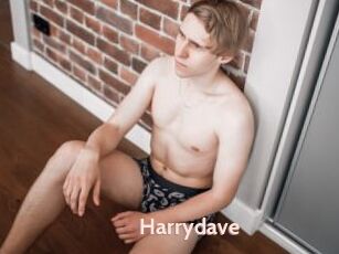 Harrydave