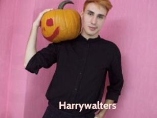 Harrywalters