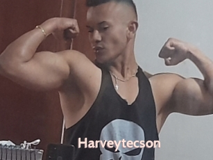 Harveytecson