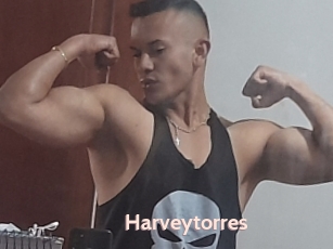 Harveytorres