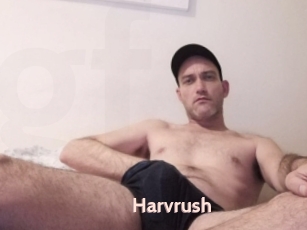 Harvrush