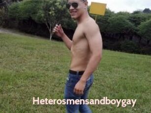 Heterosmensandboygay