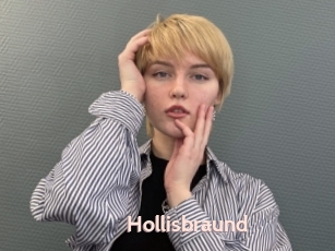 Hollisbraund