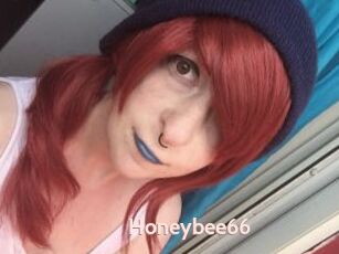 Honeybee66