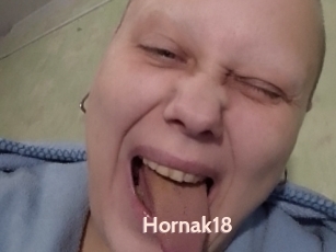 Hornak18