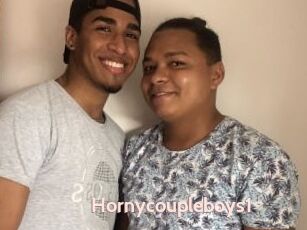 Hornycoupleboys1