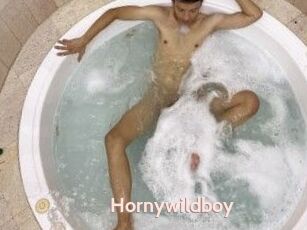 Hornywildboy