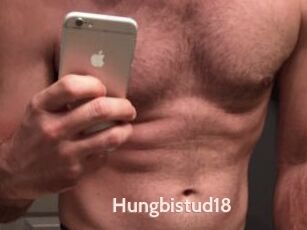 Hungbistud18