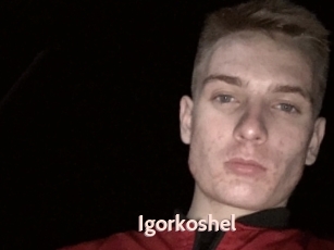 Igorkoshel