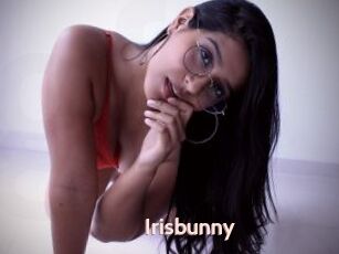 Irisbunny