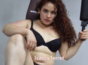 Isadia_ferret