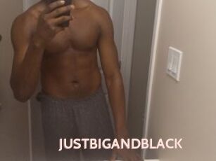 JUSTBIGANDBLACK