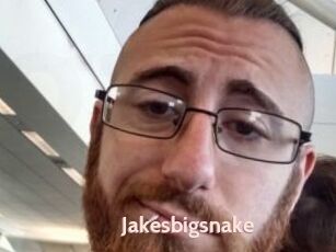 Jakesbigsnake