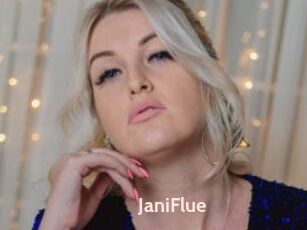 JaniFlue