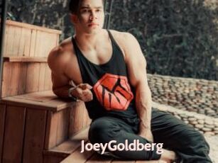 JoeyGoldberg