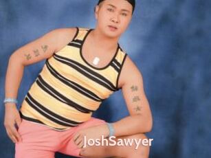 JoshSawyer