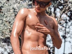 JoshuaFox