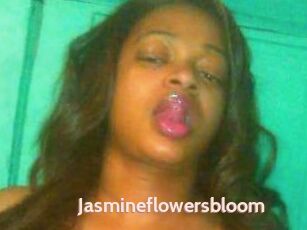 Jasmineflowersbloom