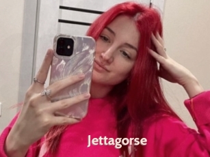 Jettagorse