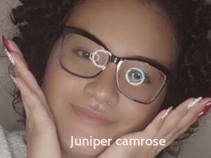 Juniper_camrose