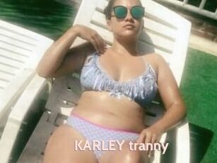 KARLEY_tranny