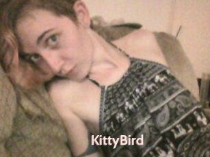 KittyBird